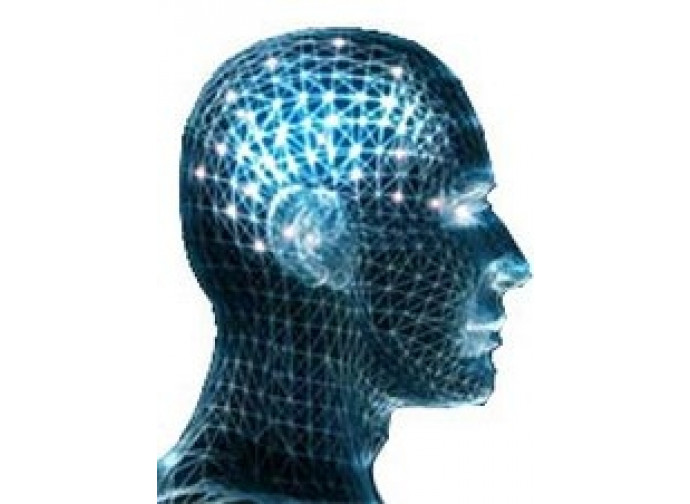 cervello cervello